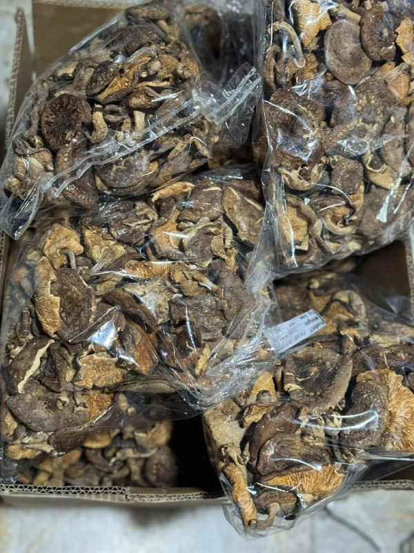 [SAT]DRIED SHIITAKE MUSHROOMS