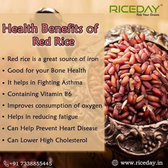 [SAT]ORGANIC RED RICE