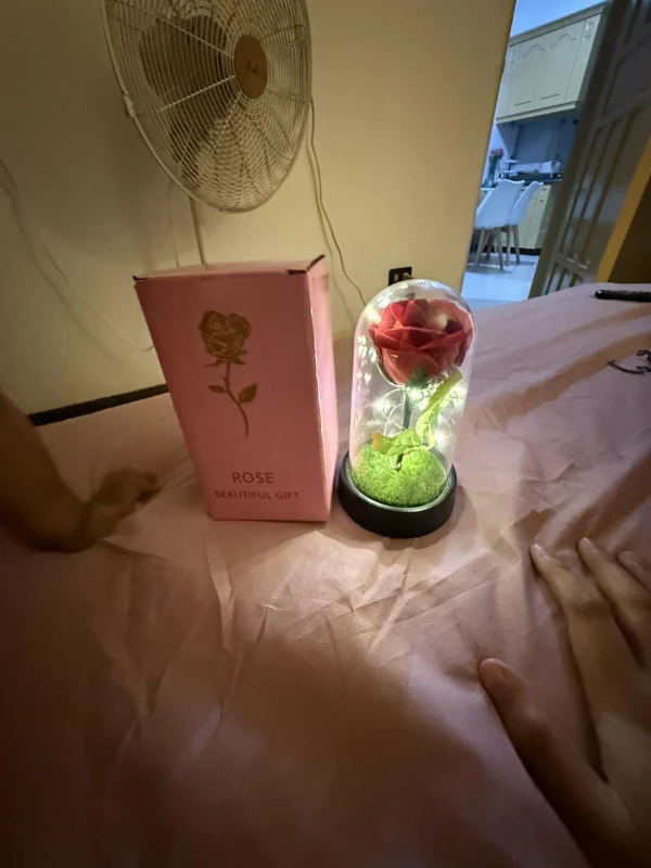 [SAT]LED LIGHT ROSE