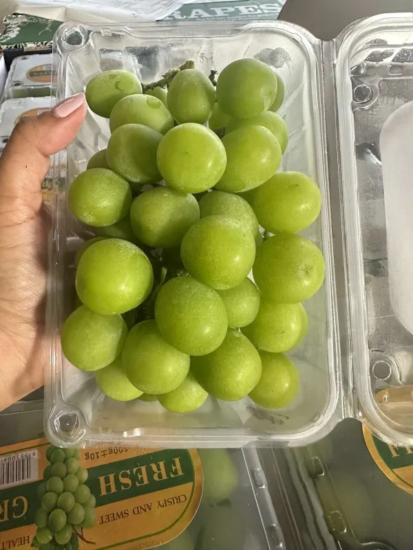 [SAT]SHINE MUSCAT GRAPES - TUB