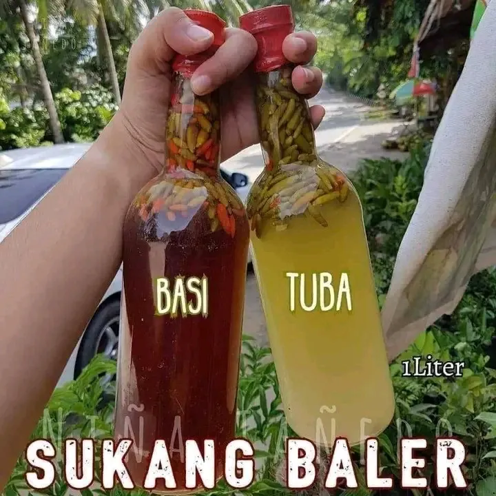 [WED]SUKANG BALER