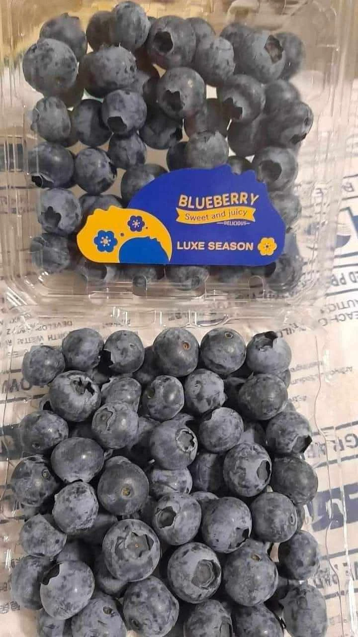 [SAT]BLUEBERRY