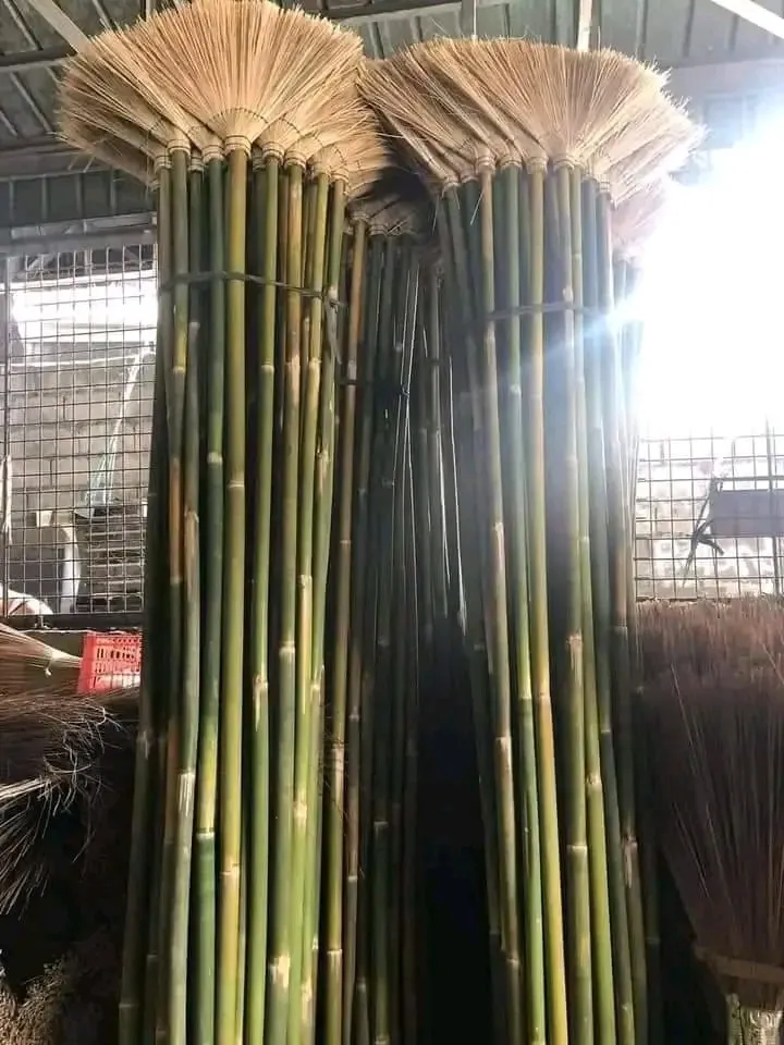 [SAT]WALIS PANG AGIW
