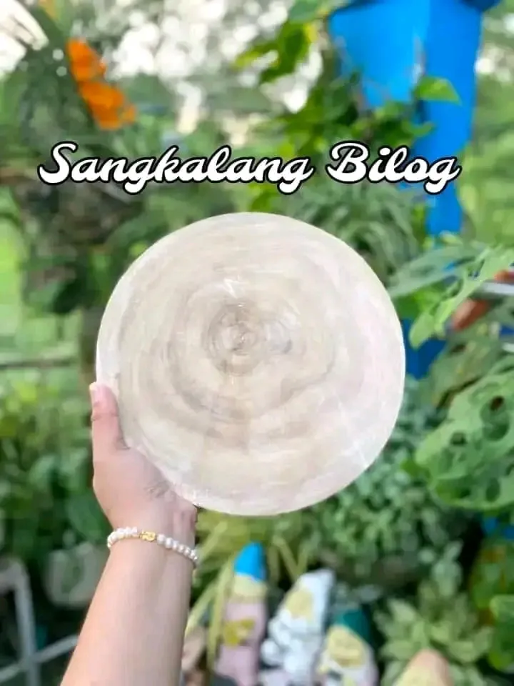 [SAT]CHOPPING BOARD ROUND