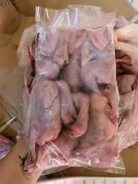 [WED]FRESH PUGO MEAT