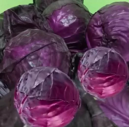 [SAT]RED CABBAGE