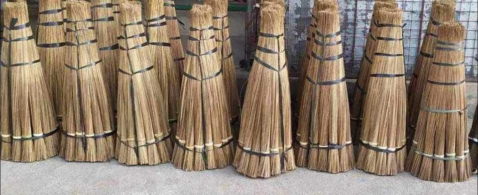 [SAT]*2 WALIS TINGTING