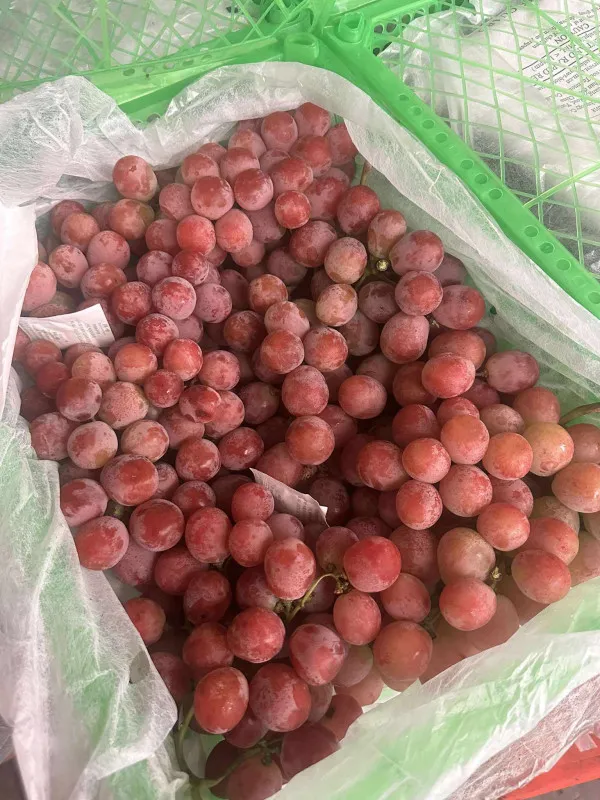 [SAT]RED GLOBE GRAPES