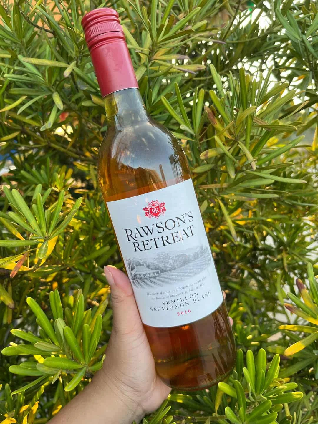 [WED]RAWSONS RETREAT WINE