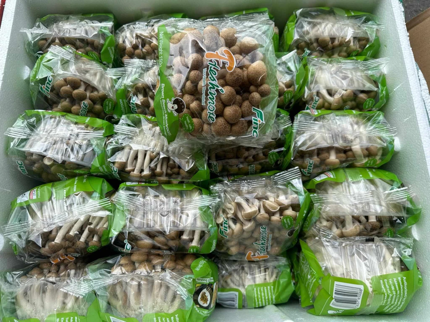 [WED]*2 SHIMEJI MUSHROOM - BROWN