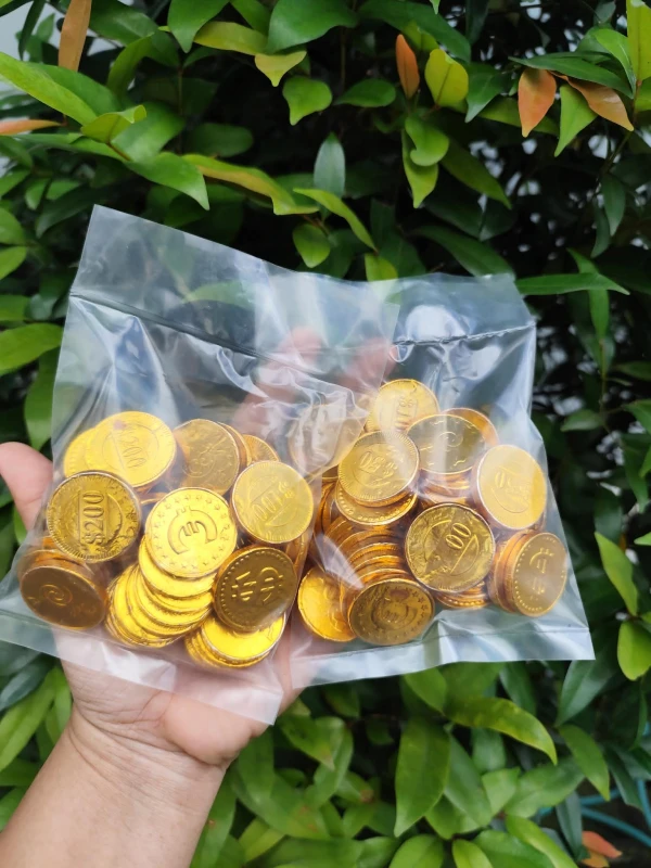 [WED]*2 CHOCOLATE GOLD COIN