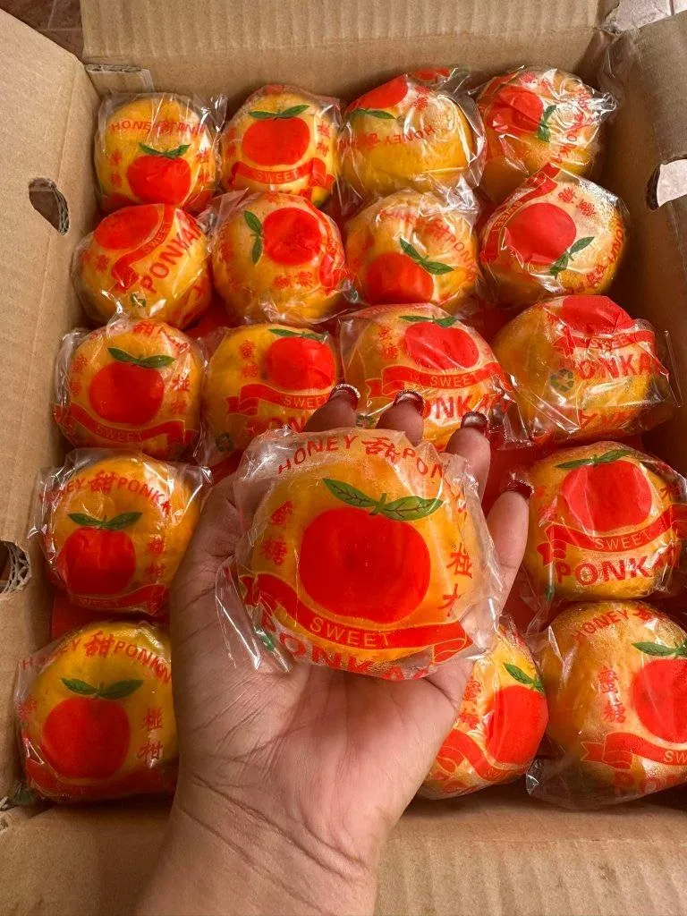 [SAT]HONEY PONKAN-NET