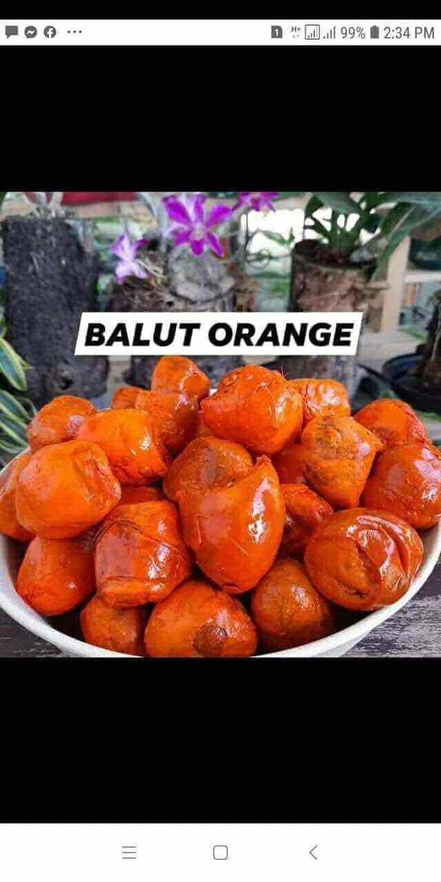[SAT]BALOT ORANGE