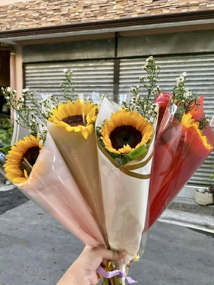 [SAT]FRESH SUNFLOWER