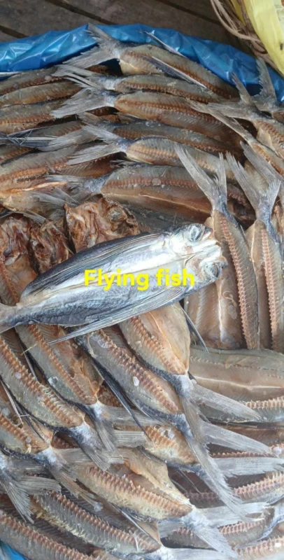 [SAT]*2 FLYING FISH