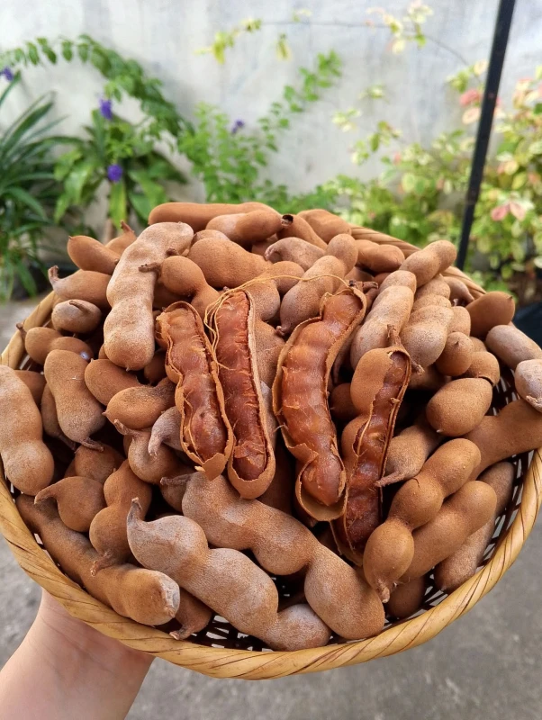 [SAT]FRESH TAMARIND