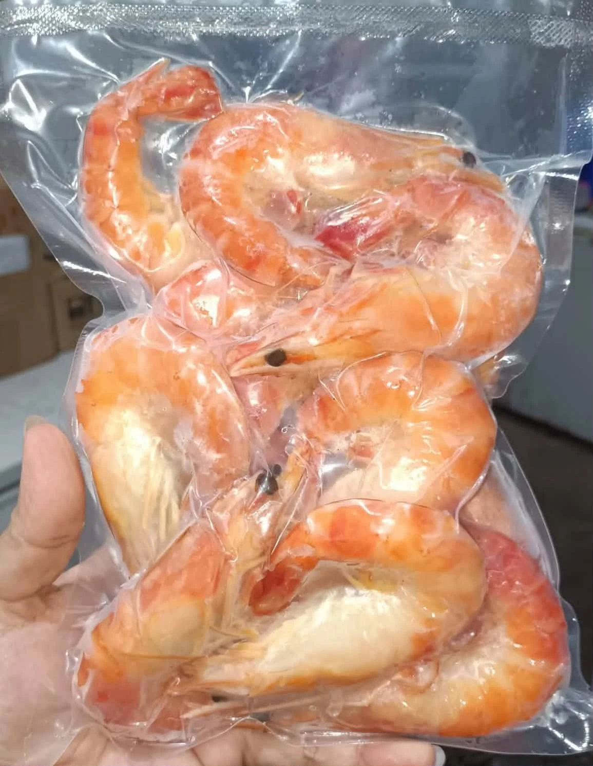 [SAT]COOKEDTIGERSHRIMP