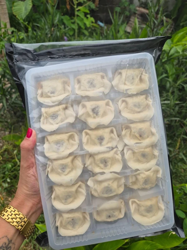 [SAT]PORK & CHIVES DUMPLINGS - [B]