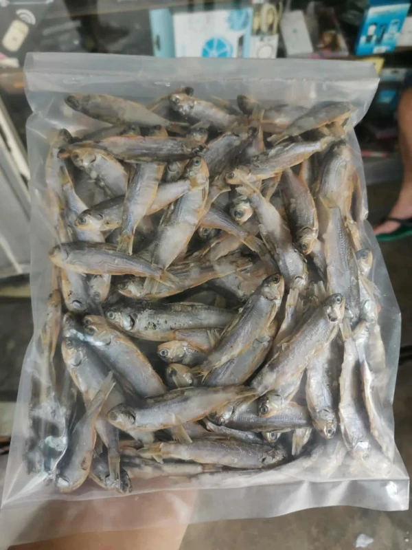 [SAT]DRIED DON PILAS