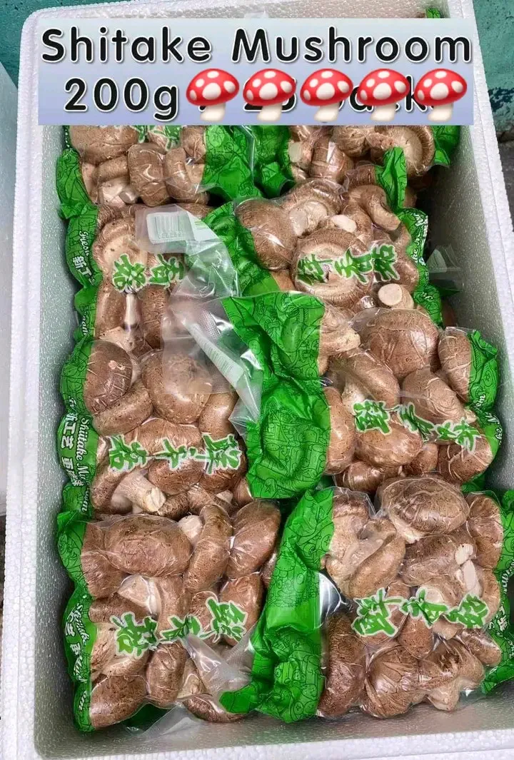 [SAT]*2 SHITAKE MUSHROOMS