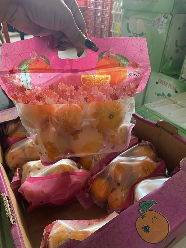 [SAT]MANDARIN PONKAN