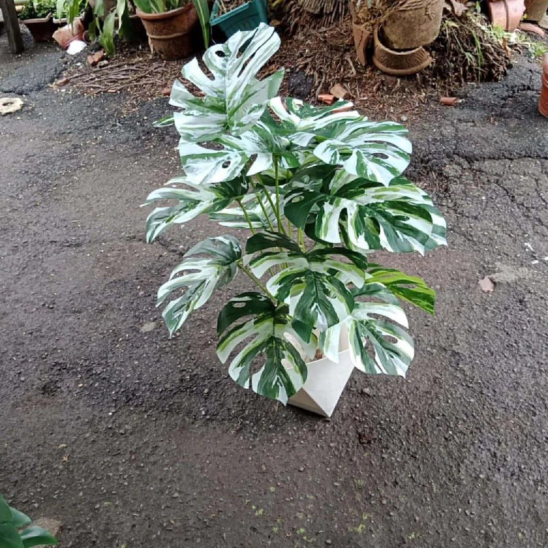 [SAT]ARTIFICIAL PLANT