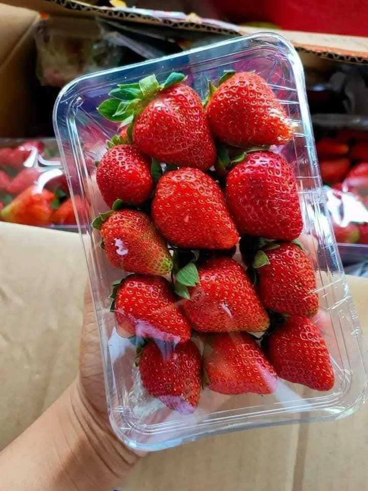 [WED]KING BERRY STRAWBERRY
