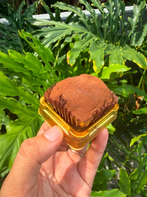 [SAT]DUBAI CHEWY COOKIE