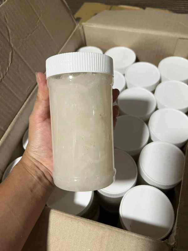 [SAT]HOMEMADE MACAPUNO