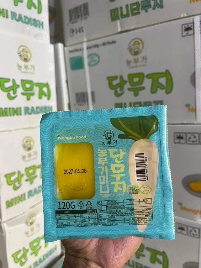[SAT]*2 KOREAN RADISH