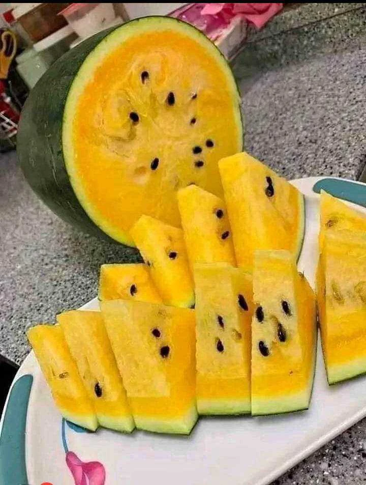[SAT]SEMINIS PAKWAN
