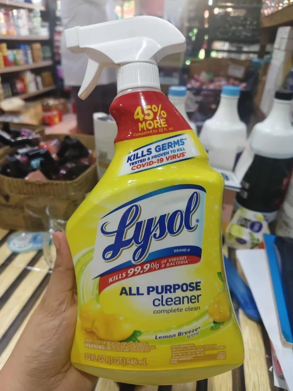 [SAT]LYSOL ALL PURPOSE CLEANER