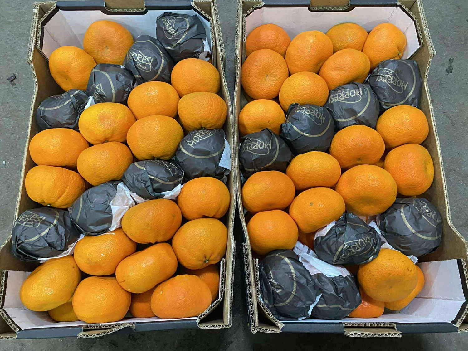 [SAT]MUSCAT ORANGE
