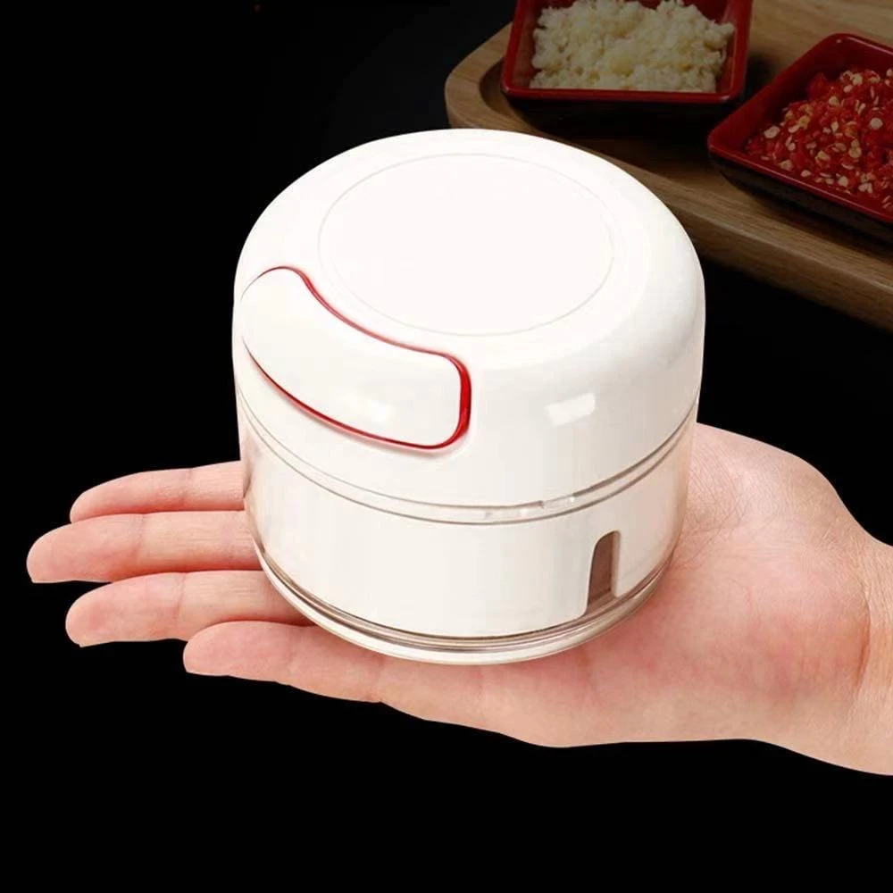 [SAT]*2 MINI GARLIC CHOPPER