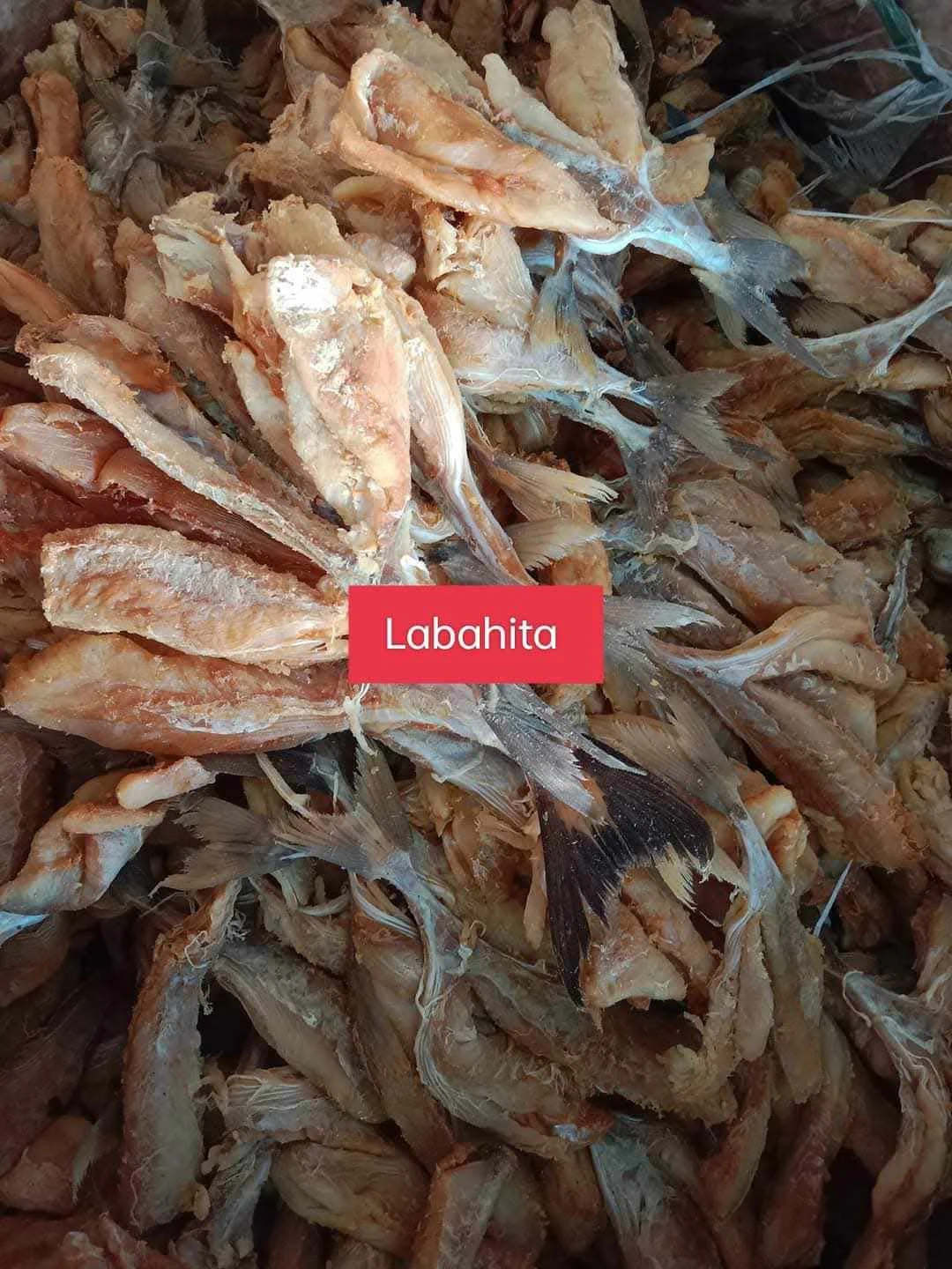 [SAT]*2 LABAHITA