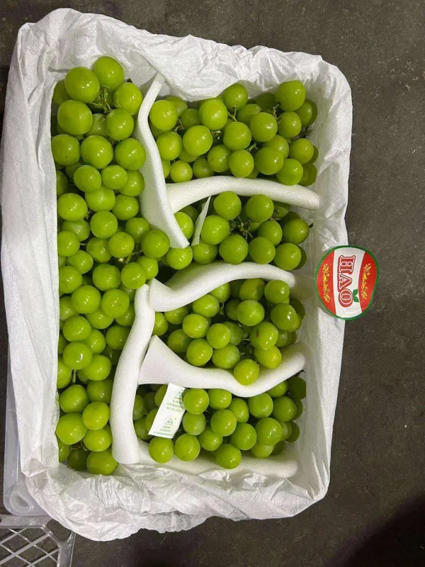 [SAT]SHINE MUSCAT GRAPES