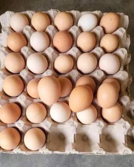 [SAT]*2 ORGANIC BROWN EGG