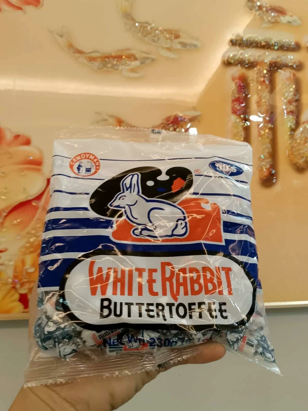 [SAT]*2 WHITE RABBIT