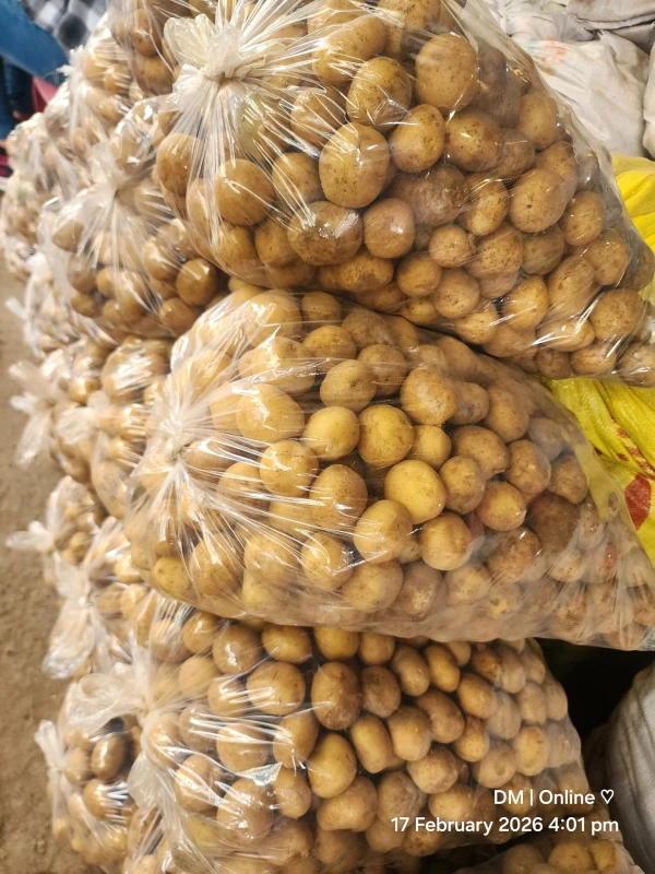 [SAT]MARBLE POTATO BAG