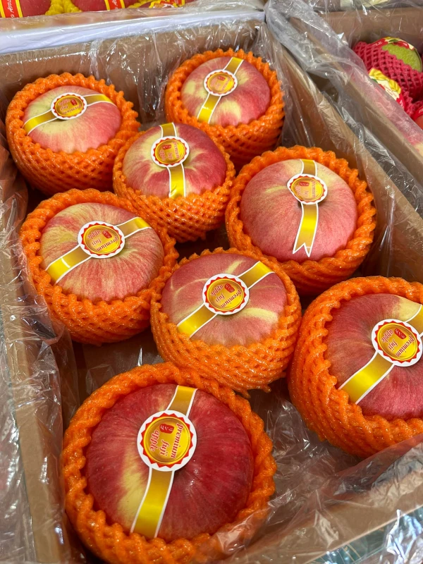 [SAT]FUJI APPLE GIFT BOX