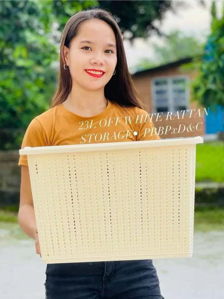 [WED]*2 RATTAN OFFWHITE STORAGE
